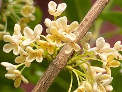 -颐和园