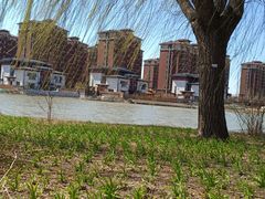 -天津东丽湖风景区