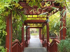 -北坞公园