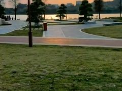 -鹤之洲湿地公园