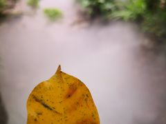 -嘉和K6温泉微度假
