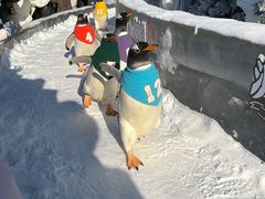 -哈尔滨波塞冬海底世界