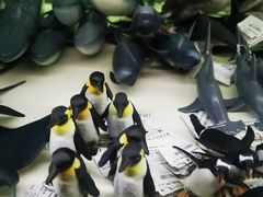 -上海海洋水族馆