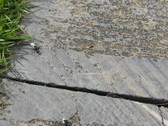 -南京市江宁方山