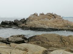 -老虎石海上公园