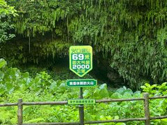 -海口火山口国家地质公园
