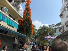 -南丫岛
