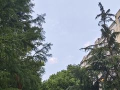-澹台湖公园