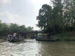 -溱湖国家湿地公园