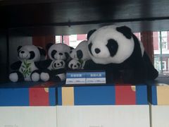 -眉州东坡(春秀路店)