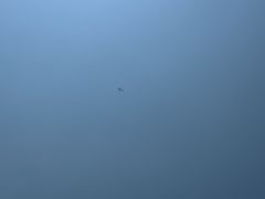 -重庆海昌加勒比海水世界