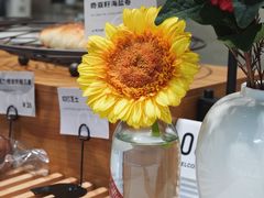 -LOTTA COFFEE(安居博文苑店)