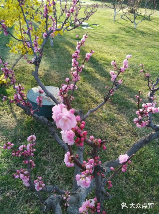 北京宽沟会议中心android_upload_pic图片