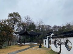 -扬州大运河文化旅游度假区·盆景园