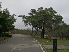 -福建鲤鱼洲酒店