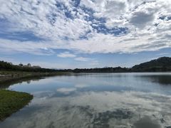 -风云岭森林公园