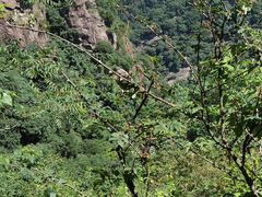 -秦岭终南山世界地质公园翠华山景区