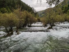 -九寨沟-树正沟