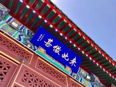 -天津大悲禅院