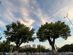 -黄海国家森林公园