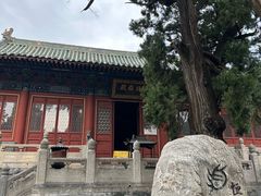 -中岳庙