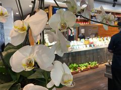 -浩运·海鲜青岛菜·海胆水饺(石老人店)