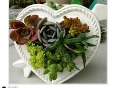 -绿韵花艺鲜花店(解放南路店)