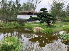 -东平国家森林公园