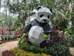 -海南热带野生动植物园