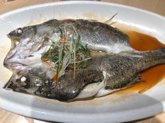 -安天民北方饺子(白石洲店)