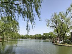 -石家庄市植物园