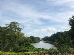 -大湾区中央湿地公园