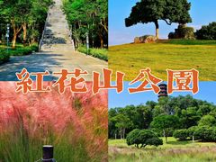 -红花山公园