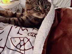 -大观园影院式足浴Spa店(沙坪坝店)