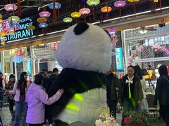 -喜鹊音乐酒馆(西街店)