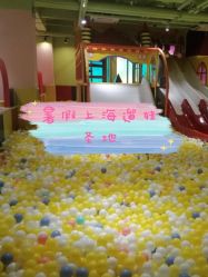 -宝燕乐园(闵行旗舰店)
