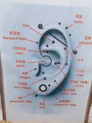 -AI艾耳·专业手工耳洞·穿孔美学馆