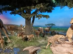 -国家自然博物馆