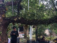 -七仙岭君澜度假酒店