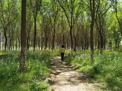 -东郊湿地公园