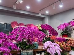 -双季花艺园艺市场(浦东店)