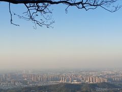 -紫金山山顶公园