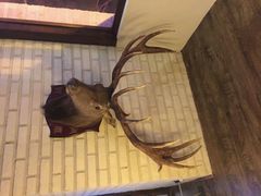 android_upload_pic-冰城小镇音乐串吧·聚会餐厅(百子湾店)