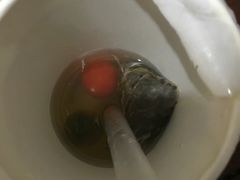 -厝内小眷村(合肥华府骏苑店)