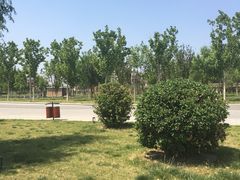 -武清南湖绿博园