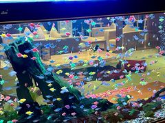 -大江户·温泉洗浴(浑南店)