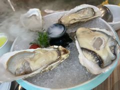 -探窝·竹笙椰子鸡(杨箕店)