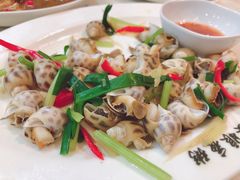 炒花螺-长平老姿娘夜粥(平东一街店)