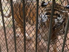 -昆明动物园