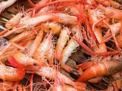 河虾-麦园农庄·西江河鲜